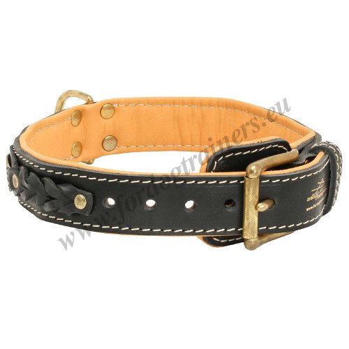 Walking Dog Collar with Braids