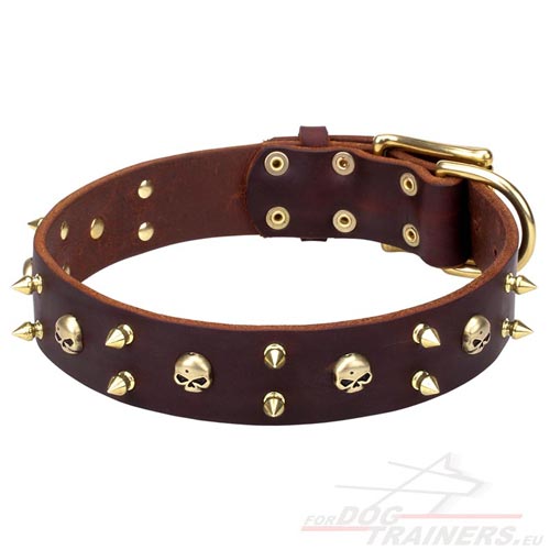 Leather Dog Collar for Disobedient Dog