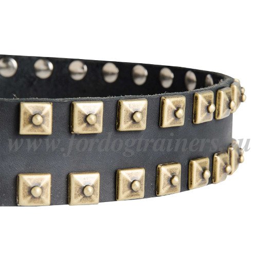 Fancy Dog Collar with Studs