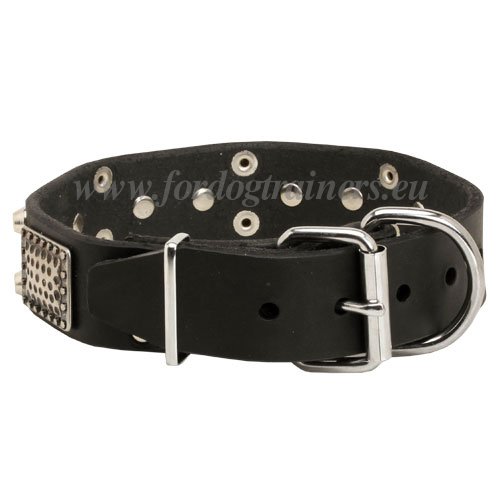 Hand-riveted Plated Dog Collar