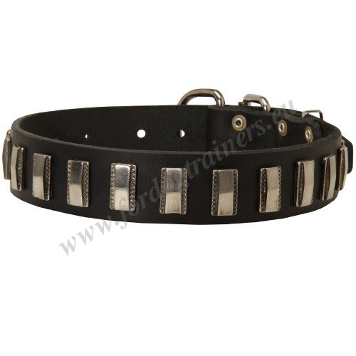 Strong Medium Dog Collar