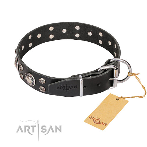 Lederen Honden Halsband met Sterke
Hardware