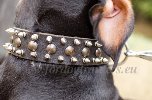 Spiked Studdded Leather Collar for Dogs