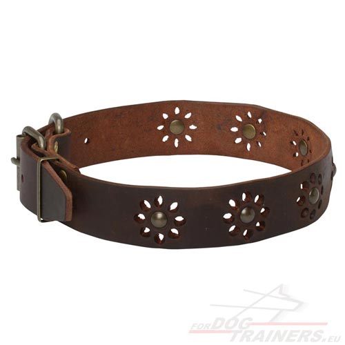 Trendy Leather Dog Collar