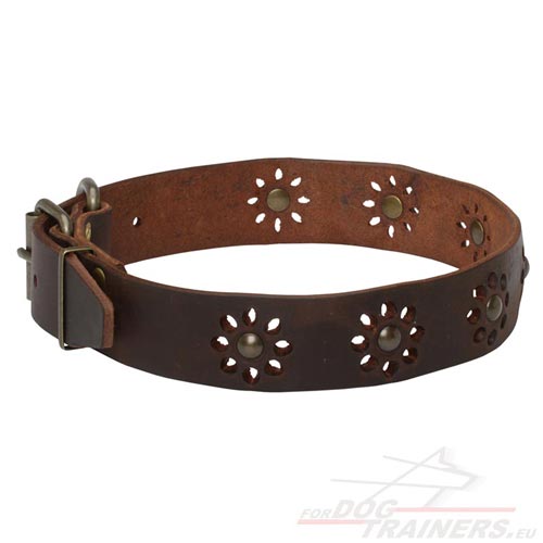 Stijlvolle Honden Halsband