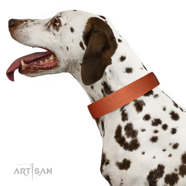 Classical Dog Collar for Dalmatian Tan