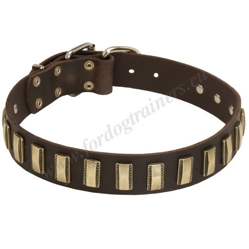 Wide Leather Collar for Bulldog