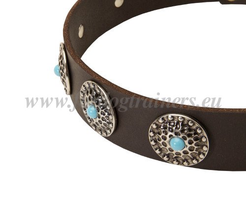 Leder Halsband fr groe Hunde