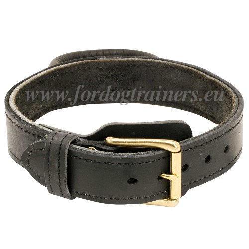 Hunde Kontrolle Halsband aus Leder mit Griff