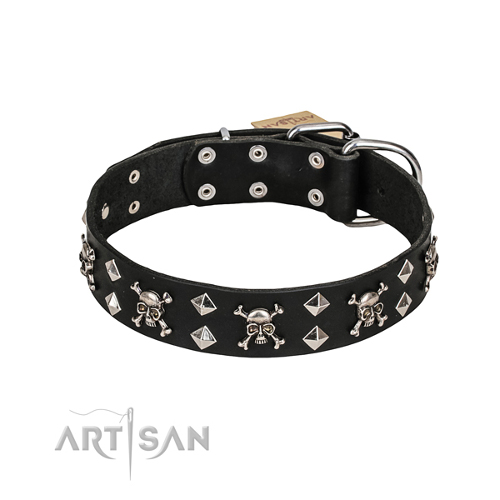 Custome Made Collars for Dogs Studded
