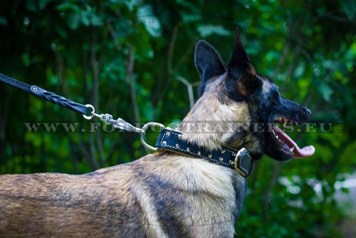 Leather Dog Collar with Spikes for Malinois