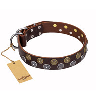 Brown
Leather Dog Collar Studded