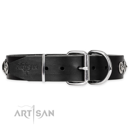 Wide Leather Dog Collars with Buckle