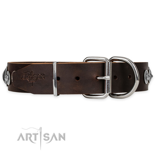 Wide Dog Collar for Big Dogs