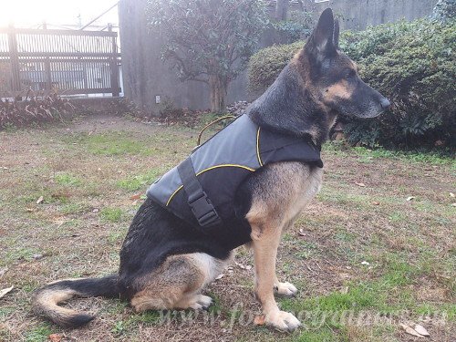 German Shepherd Coat Harness