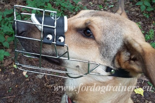 Wire Basket Muzzle with Padding for Medium Dogs