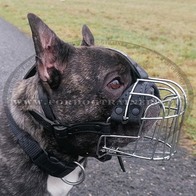 French Bulldog Wire Muzzle Basket with Straps