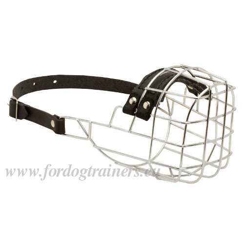 Basket Muzzle for Medium Dog