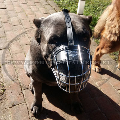 Metal Basket Muzzle for Dogs Pitbull