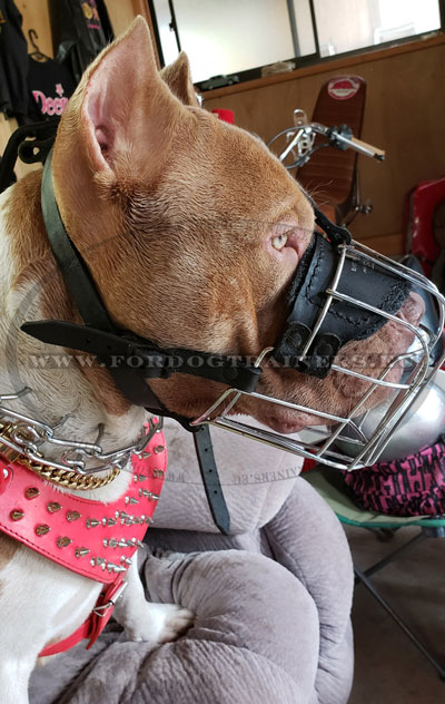 Metal Basket Muzzle for Dogs Pitbulls Amstaffs