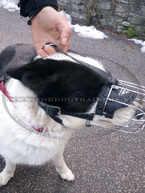 Metal Cage Dog Muzzle with Felt