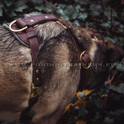 Wolfdog Training Harness K9 Genuine Leather