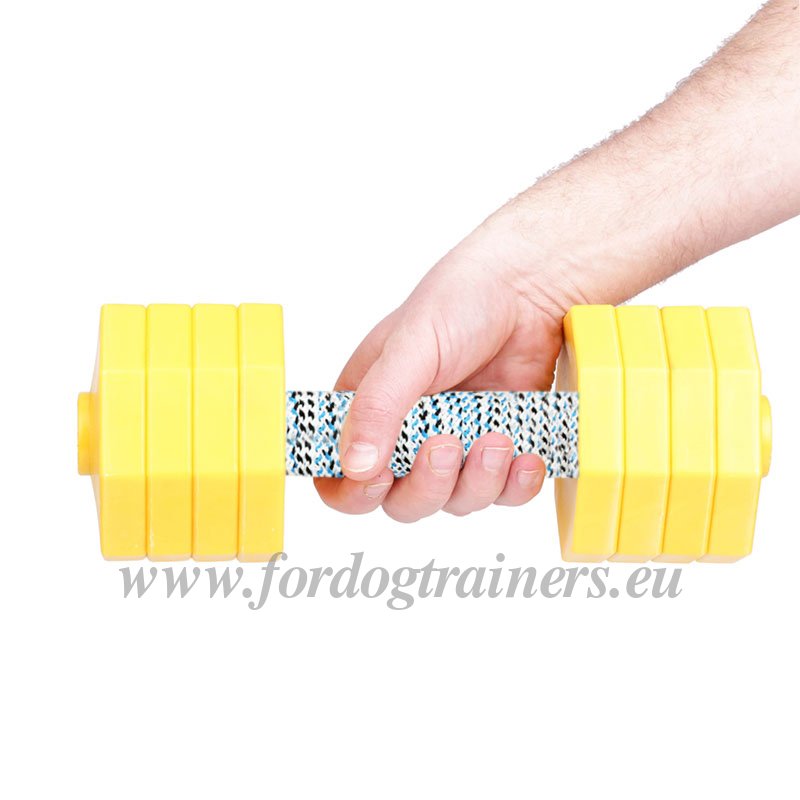 Wooden Dumbbell for SchH2,3 - Click Image to Close