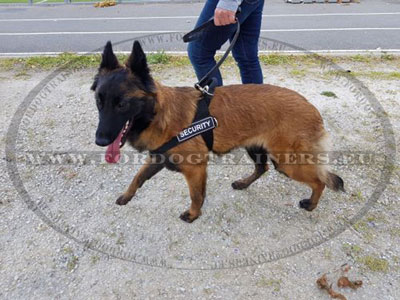 Lightweight Dog Harness with Handle Multifunctional