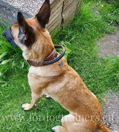 Sturdy Police Dog Training Collar