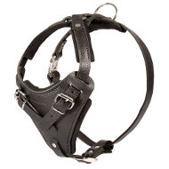 Agitation Attack Leather Dog Harness, Protection 2014!