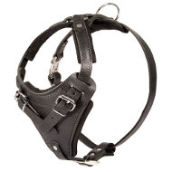 Agitation Attack Leather Dog Harness,
                    Protection 2020!