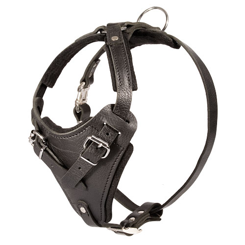 Agitation harness of genuine leather for German Shepherd 