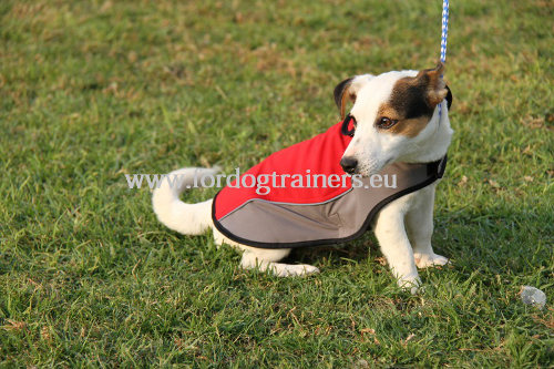 Cappottino per cane