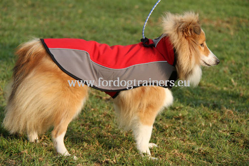 Manteau de chien pour Berger des Shetland H14