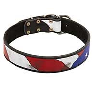 Painted
Collar USA Flag