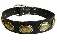 Leather Dog Collar with Vintage Plates