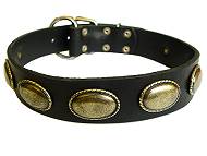 Hundehalsband Leder mit Vintage Platten