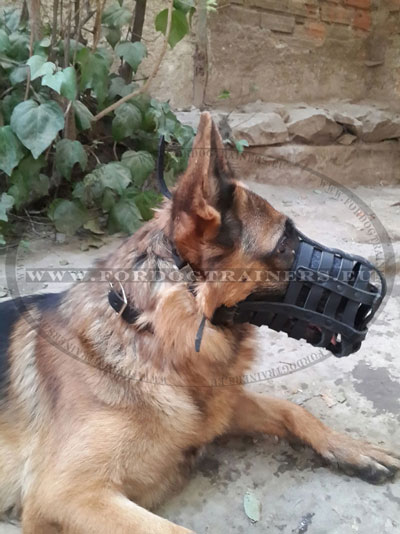 Dog Muzzle for German Shepherd Multifunctional