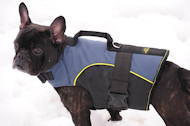 Outdoor nylon dog traking harness for French Bulldog