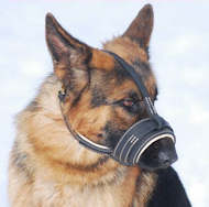Leather Head Collar for German Shepherd Nappa Padded Dog Muzzle