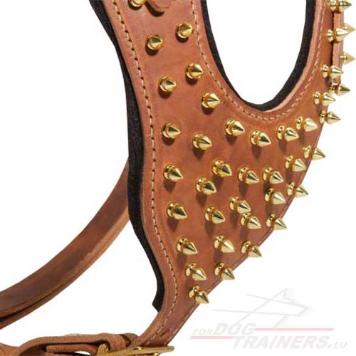 Tan Dog
Harness with Brass Spikes