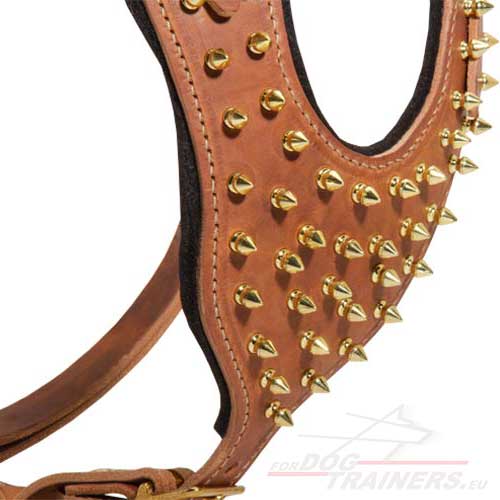 Tan Dog Harness
with Brass Spikes