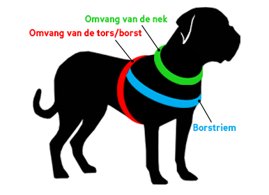 Hoe moet u een hond meten voor een honden tuig