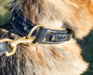 Nappa Padded Leather Collar for Belgian Malinois [C43##1057 Collare in pelle con decorazione per Malinois]