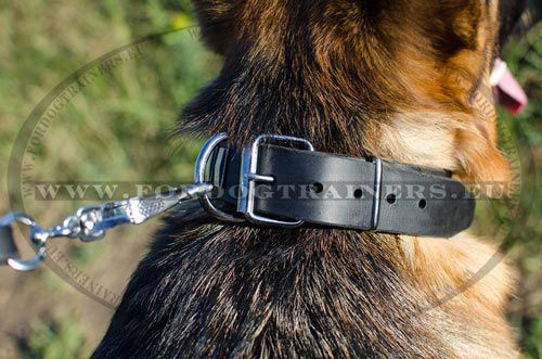 Halsband fr Schferhund Metallplatten