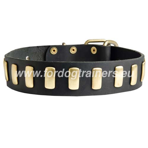 Best quality brown decorated dog collar