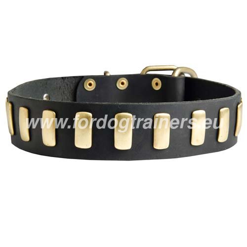 Stylish Leather Collar