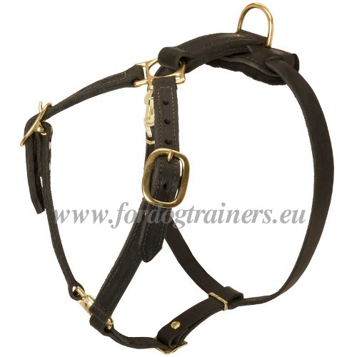 Black Agitation Harness for WSL