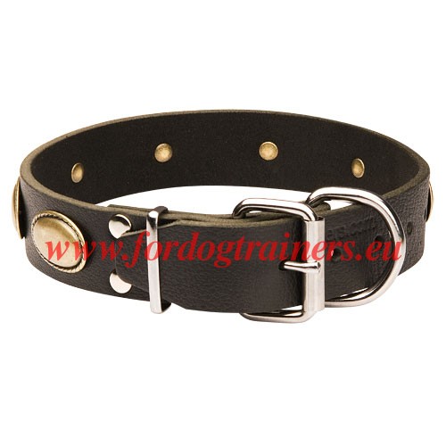 Laika Collar with Solid Hardware