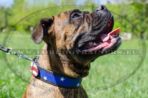 Collier cuir avec le Drapeau USA peint pour Boxer